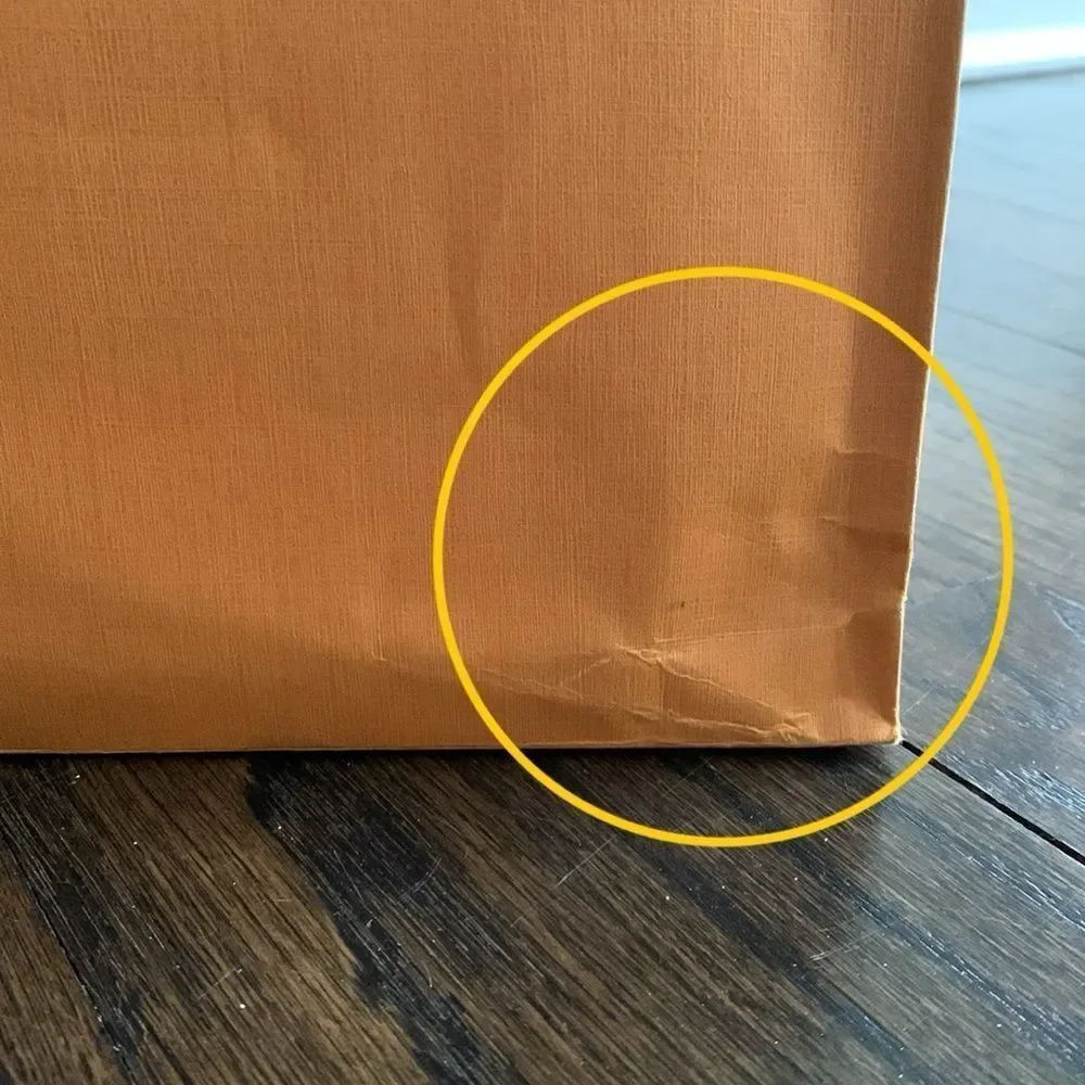 Louis Vuitton Medium 16”x13” Empty Paper Shopping Tote - Replacement Gift Bag